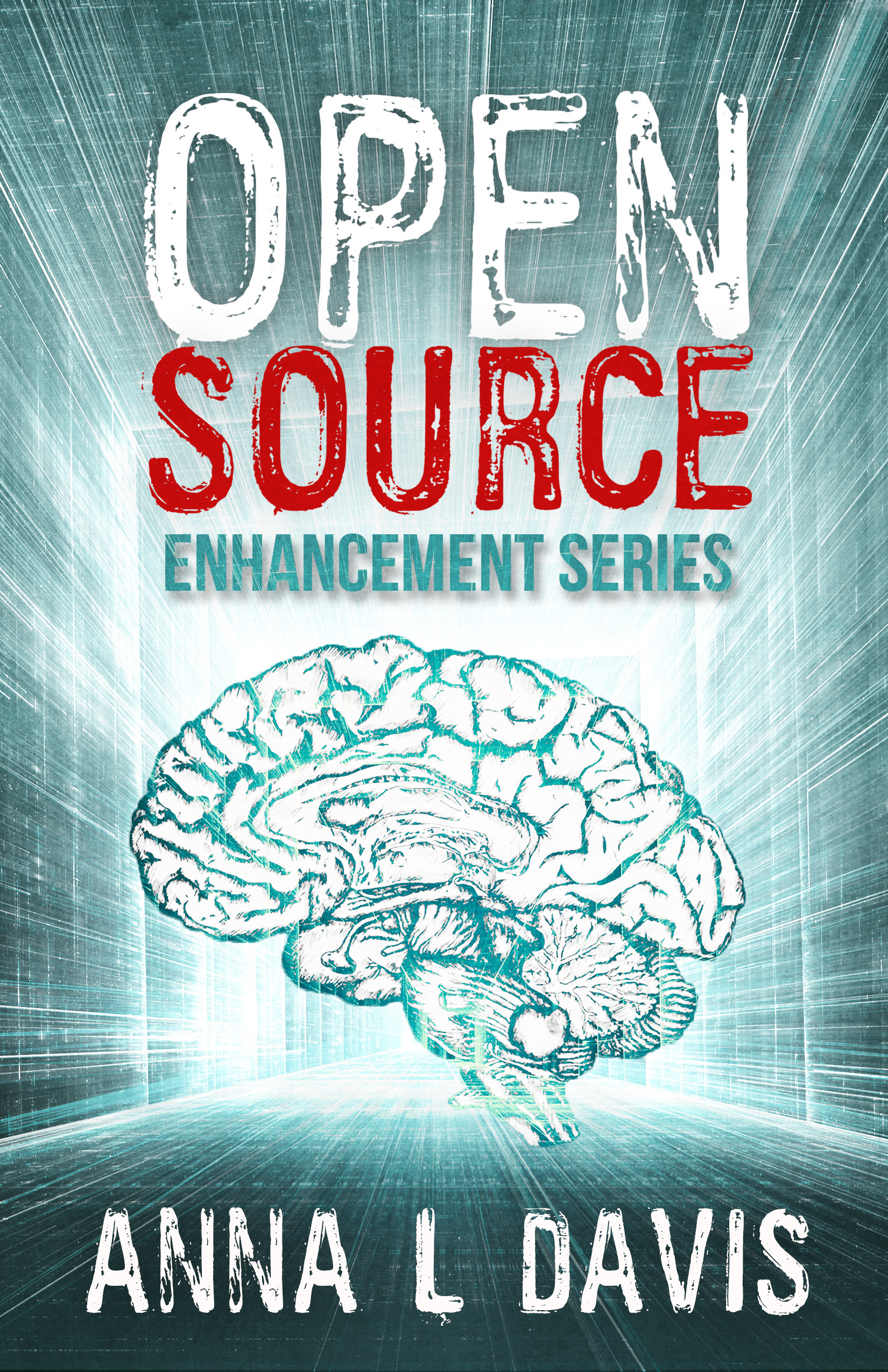 Open Source by Anna L. Davis book cover
